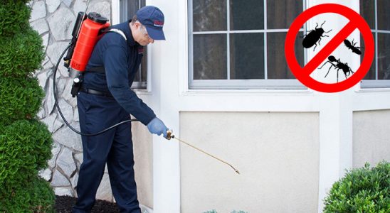 Soma Böcek ve Haşere İlaçlama böcek ilaçlama ve haşere kontrolü — ilaclama-tr.com